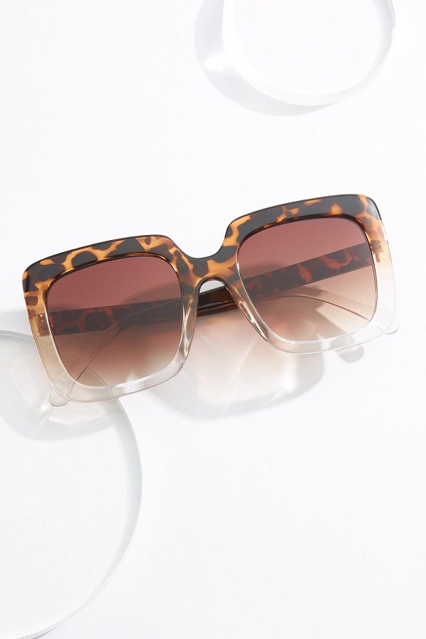 Animal Colorblock Sunglasses