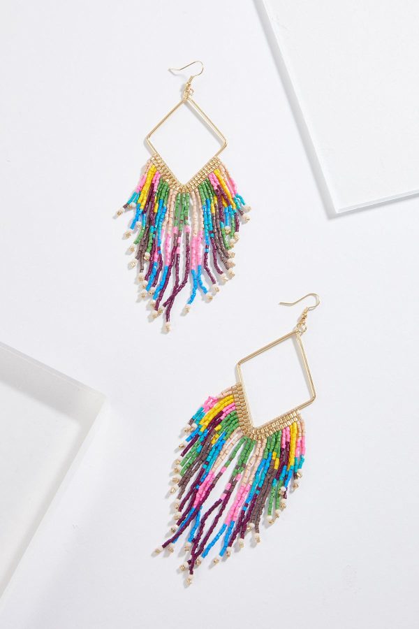 Multi Color Seed Bead Tassel Earrings